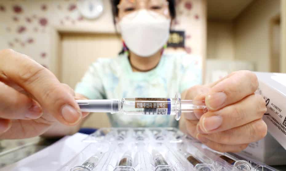 Doctors In South Korea Call For Flu Vaccinations To Be Paused After 25 Deaths South Korea The Guardian Doctors In South Korea Call For Flu Vaccinations To Be Paused After 25 Deaths South Korea The Guardian