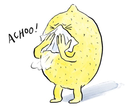 a lemon saying 'Achoo!'
