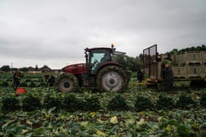 Farmworkers