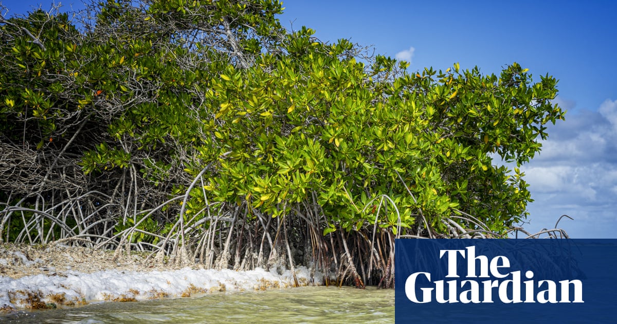 Dutch government discriminated against Bonaire islanders over climate adaptation, court rules