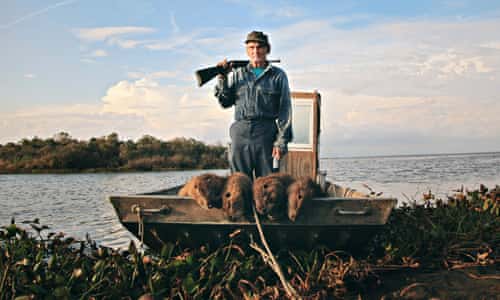 Louisiana's quest to hunt the swamp rat