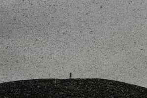 A man engulfed by a swarm of desert locusts stands on top of a hill near Nanyuki.