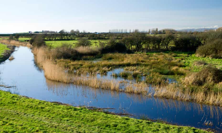 The Gwent Levels between Caldicot and Newport, south Wales.