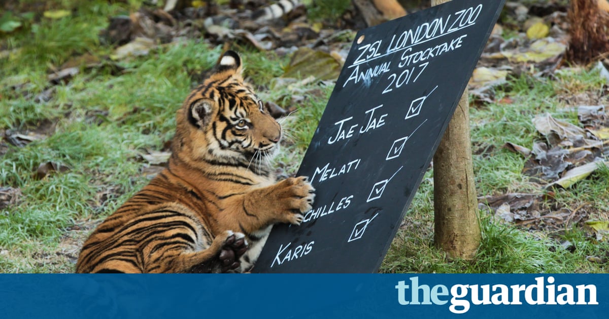 london zoo mangement london zoo mangement