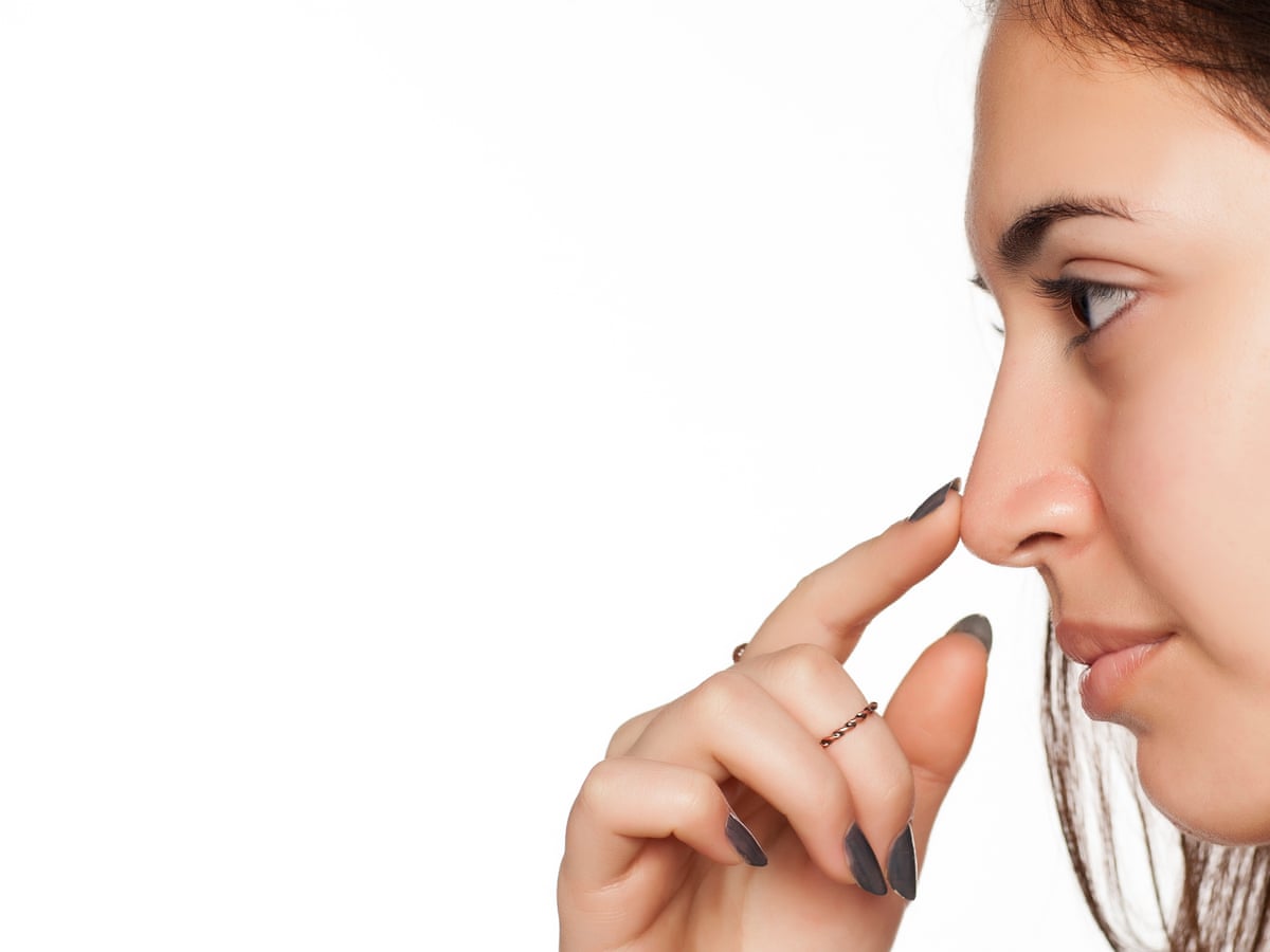 A cold nose shows you're stressed – what else does? | Health & wellbeing |  The Guardian