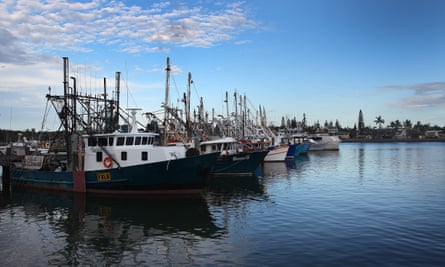 Research has found that sustainably managed oceans can provide six times more food than today.