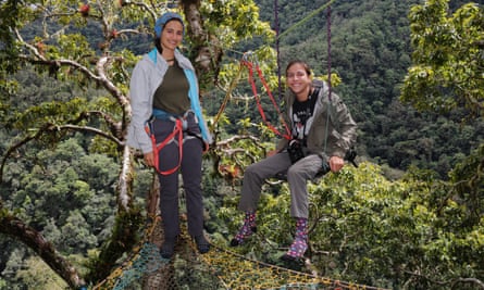 Keen naturalist Dario and his sister Deily in the cloud forest canopy viewing platform they constructed in Providencia.