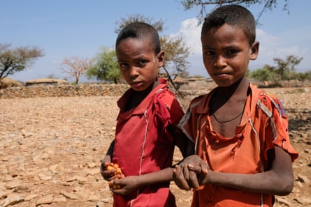 Two boys in T-shirts hold berries in their hands
