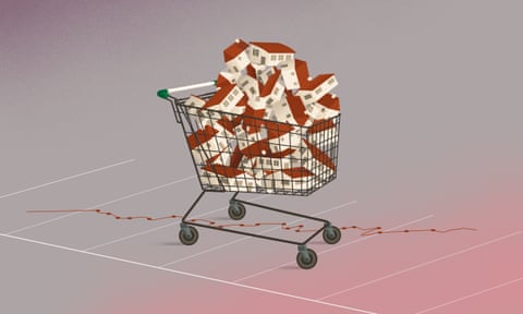 illustration: shopping trolley full of houses