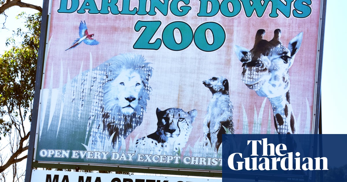 NSW woman on emotional rollercoaster' after losing arm in zoo lion attack, family says