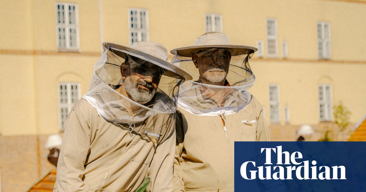 Is the modern economic system broken? These urban beekeepers think so - and this is their solution