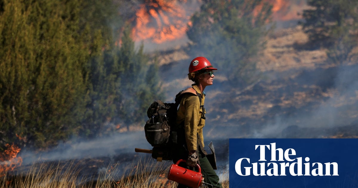 US Forest Service admits ‘multiple miscalculations’ caused New Mexico fire