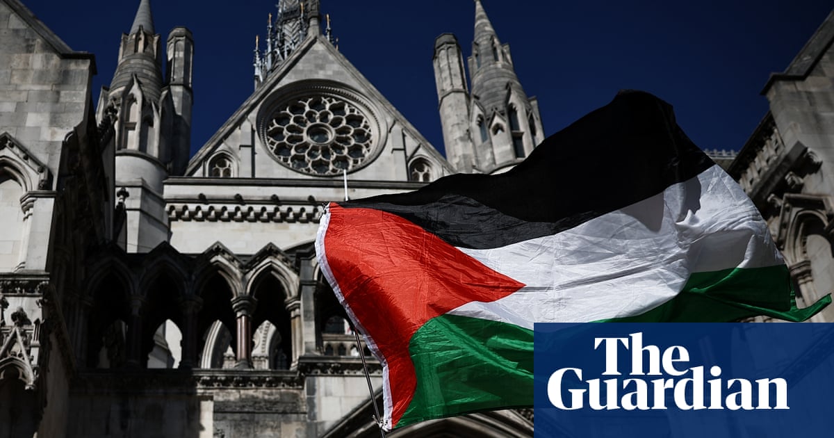 Fate of hundreds arrested for alleged Palestine Action support in limbo if challenge to ban is blocked, court told