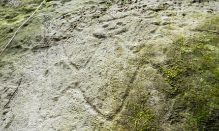 The petroglyphs were found in densely forested hills in the island’s north.