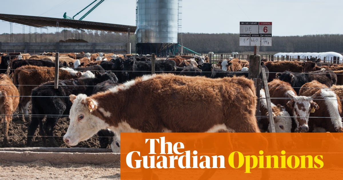 What we eat matters: to change climate crisis, we need to reshape the food system - The Guardian
