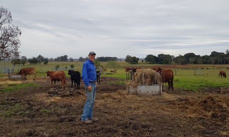 Peter Lake at his cattle farm, near Grafton NSW.