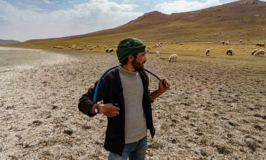 ‘We used to swim here’: Yakup, 20, with his herd sheep in Lake Akgol, eastern Turkey