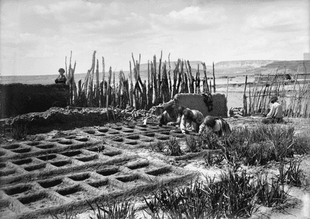 Rainwater and runoff ... waffle gardens at Zuni Pueblo in New Mexico, 1910-25.