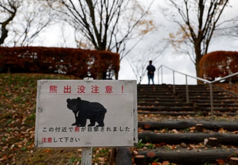 Bär läuft durch verschneite Waldlandschaft in Japan