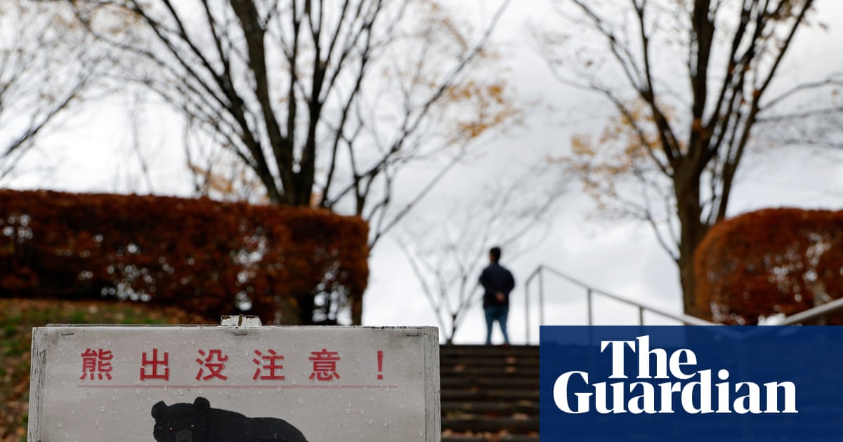 Japanese town reeling from year of record bear encounters