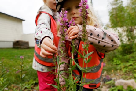 Two children with their hands on a plant
