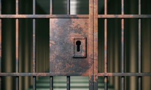 ‘This man’s life sentence for a failed attempt to steal a set of three hedge clippers is grossly out of proportion to the crime.’