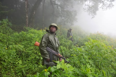 Virunga rangers are recruited from villages surrounding the park.