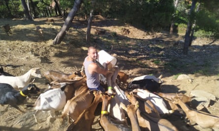 Orazio, a prisoner on the island serving a sentence for murder, tends to some of the island’s goat residents.