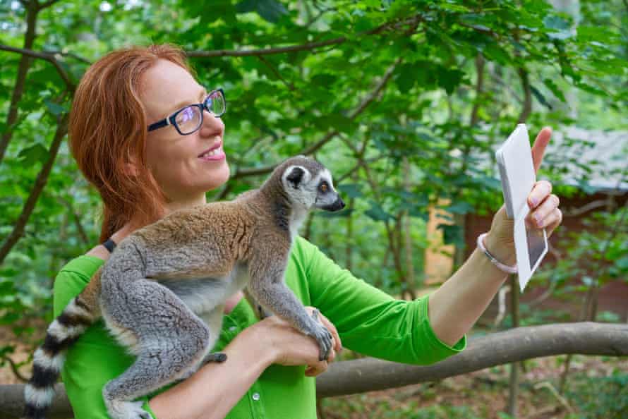 A tourist takes a selfie with a ring-tailed lemur.
