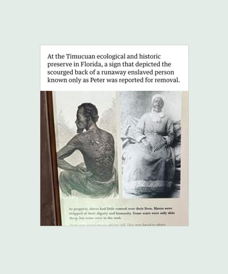Screenshot of a sign at the Timucuan ecological and historic preserve in Florida, that depicted the scourged back of a runaway enslaved person known only as Peter and was reported for removal. Guardian Design