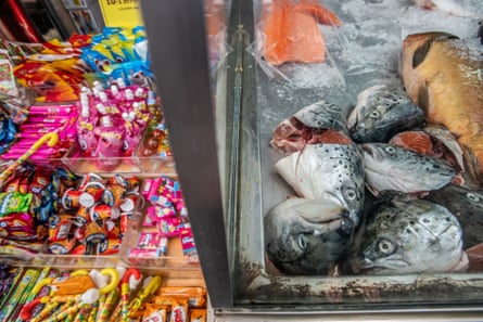 Fish for sale in a market in Israel.