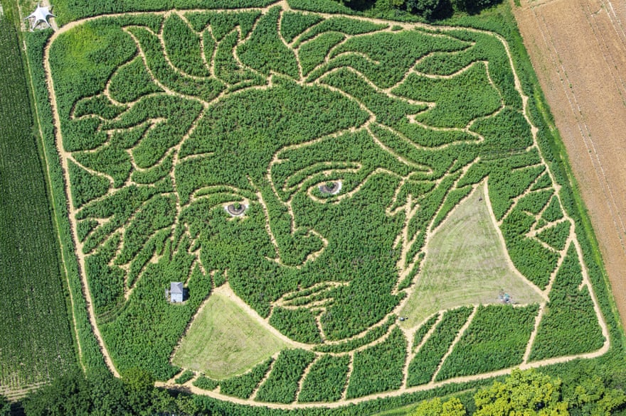 Ludwig lines … farmers created a maze in the key of Beethoven in a field in Bavaria.