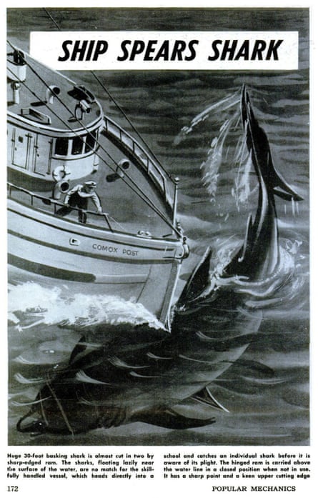 A ship developed to kill basking sharks as featured in Popular Mechanics magazine.