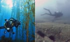 The dead sea: Tasmania's underwater forests disappearing in our lifetime