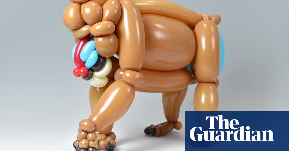 Balloon animals beyond the poodle – in pictures | Art and design | The  Guardian