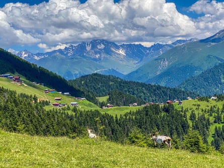 Mountains, pasture and forest in Turkey