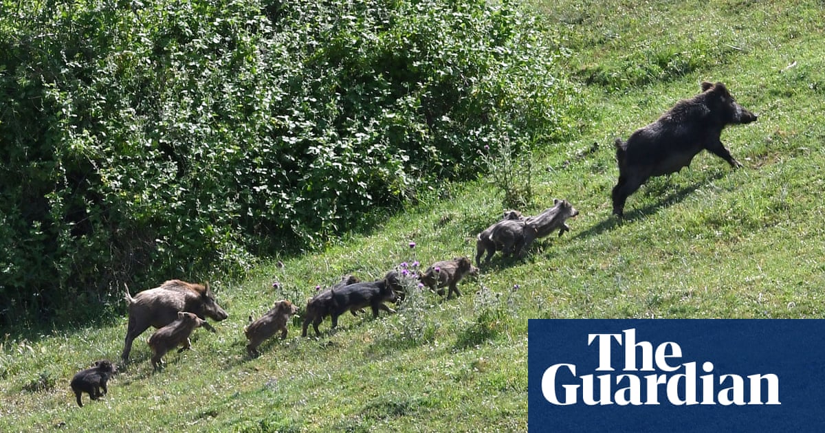 4016.jpg?width=1200&height=630&quality=8