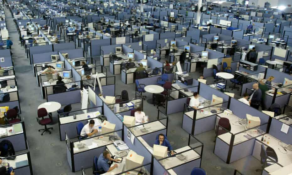 Call centre workers in their cubicles