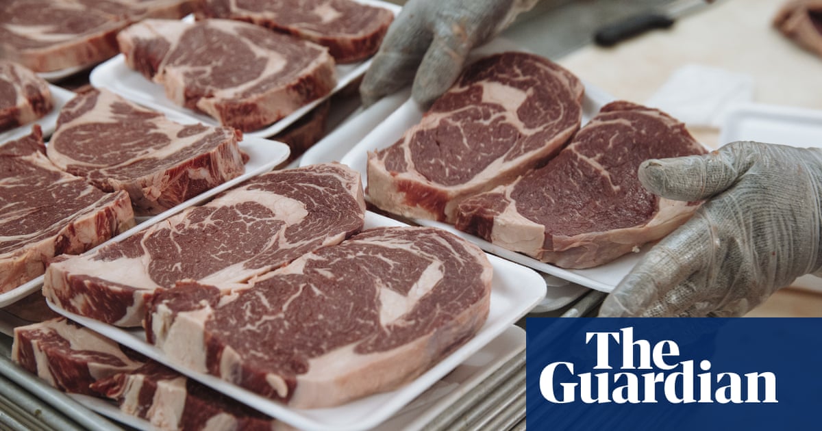 Meat wars: why Biden wants to break up the powerful US beef industry | Meat  industry | The Guardian