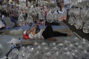 Jakarta, Indonesia A vendor takes a nap between his bags of fish for sale at a market