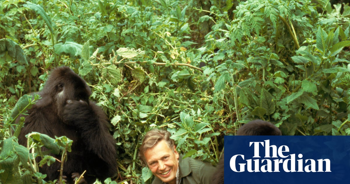 From Attenborough’s gorilla mayhem to TV’s first gay kiss: the 100 biggest moments from a century of television