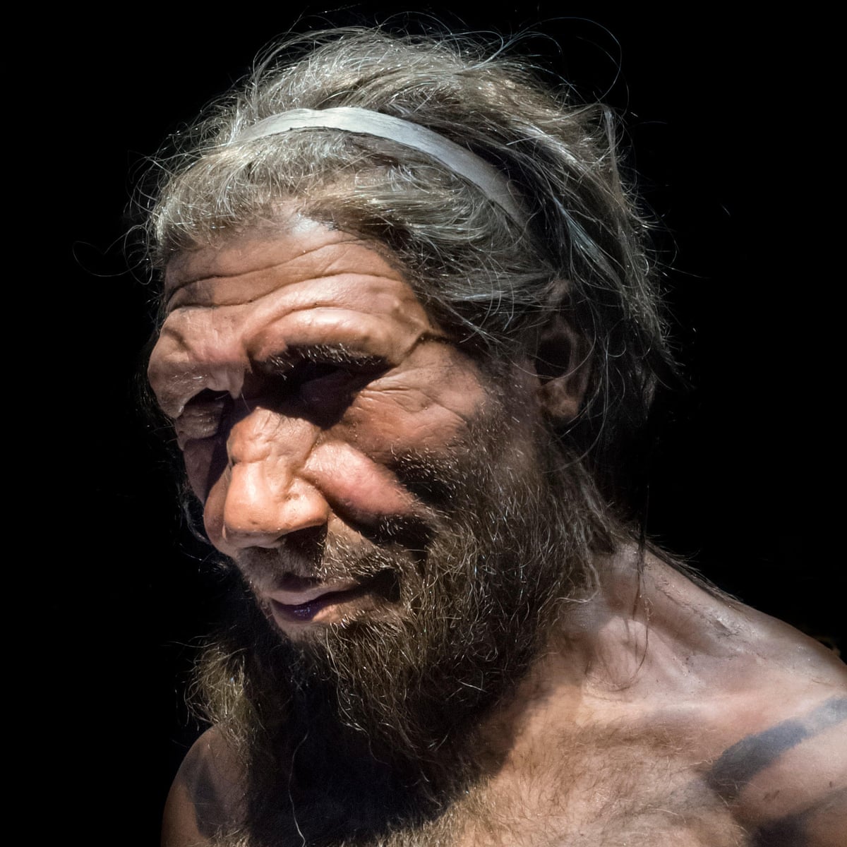 Bad Luck May Have Caused Neanderthals Extinction Study Neanderthals The Guardian Bad Luck May Have Caused Neanderthals Extinction Study Neanderthals The Guardian