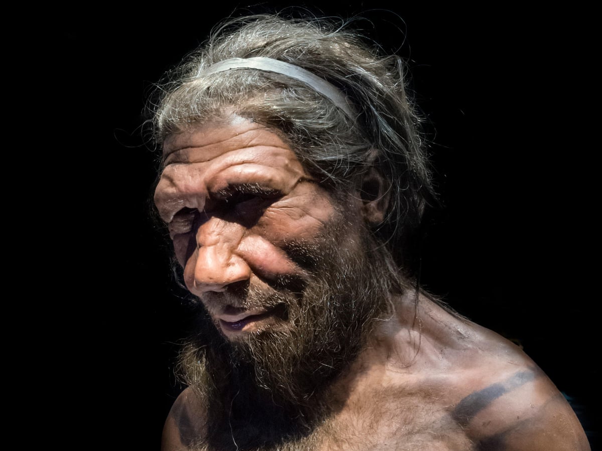 Bad Luck May Have Caused Neanderthals Extinction Study Neanderthals The Guardian