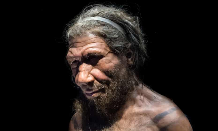 Scientists broadly agree that the Neanderthals died out about 40,000 years ago.