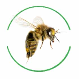 Bee cut-out inside green-rimmed circle