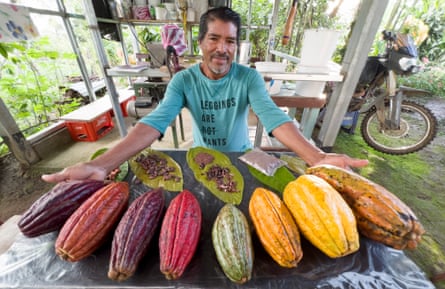 A cacao farmer from Asomobi cooperative, with cacao pods.