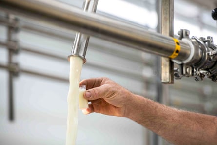 A farmer takes a raw milk sample.