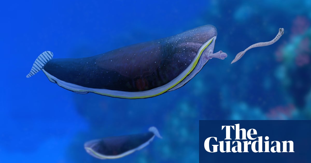 ‘Alien goldfish’ may have been unique mollusc, say scientists