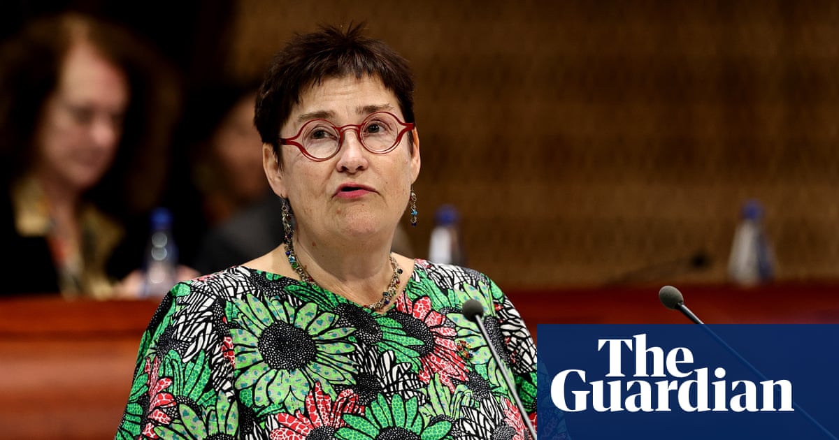 Israel’s death penalty law could spell suspension from rights body role, says chief