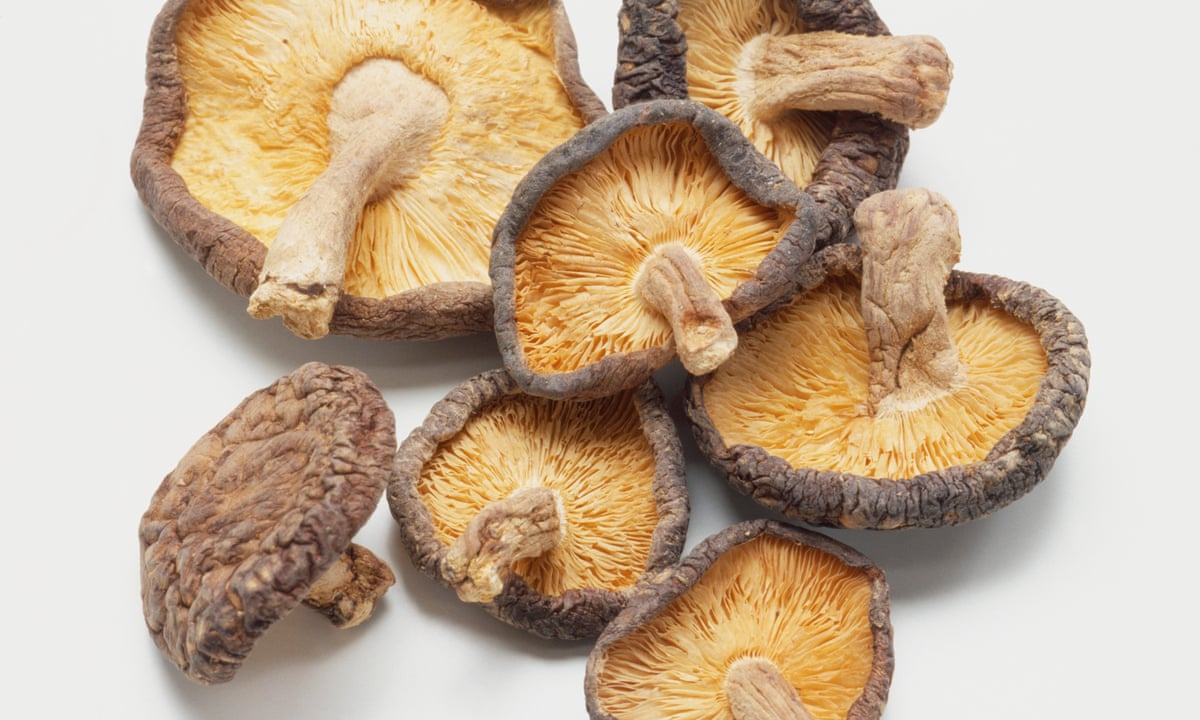 Should you make room for mushrooms in your coffee, chocolate or energy bar? | Food | The Guardian Should you make room for mushrooms in your coffee, chocolate or energy bar? | Food | The Guardian